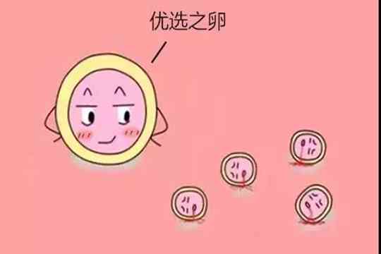 三代代怀促排时间一般是多长？