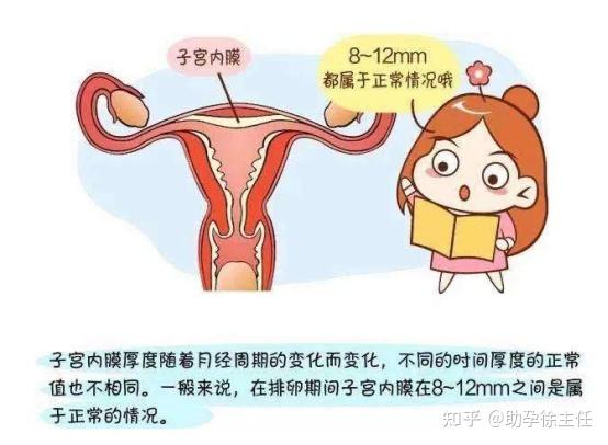 私人医院借卵代生代怀选男孩能成功吗（要多