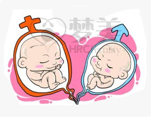 2024河南郑州河南试管代怀技术好的医院是哪家