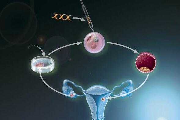 代生机构包生男孩需要休息多久+女人借卵代怀代生需要卧床休息多久
