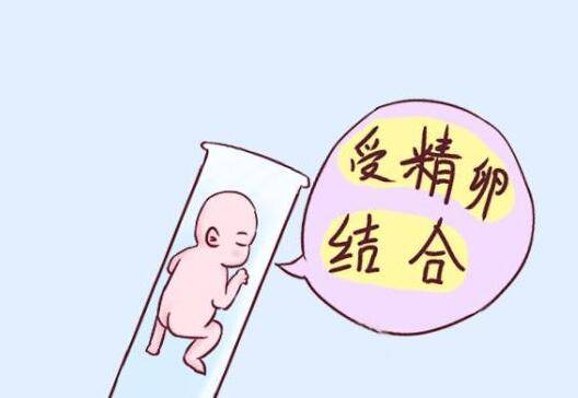 大夫你好我今天刚做了夫精人工授精手术请问应该要注意什么